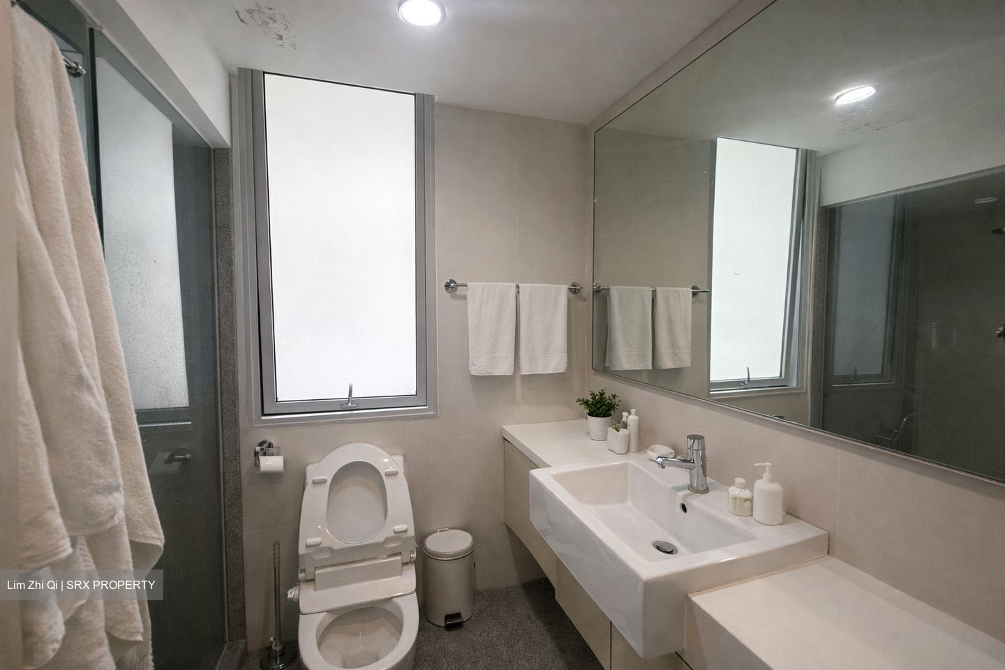 8 @ Mount Sophia (D9), Condominium #546157611